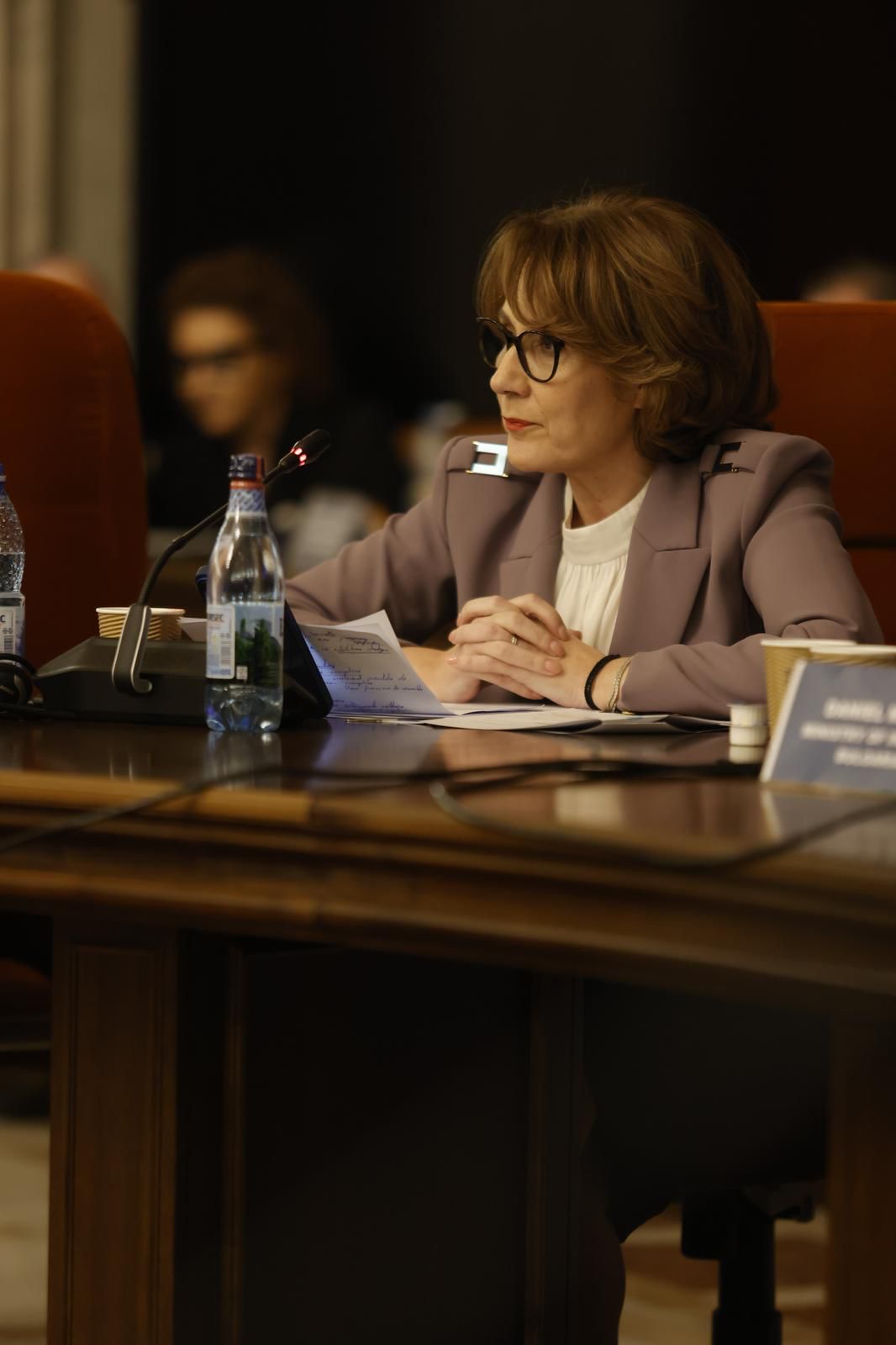Nicoleta Pauliuc: Viitorul securității europene este strâns legat de Marea Neagră